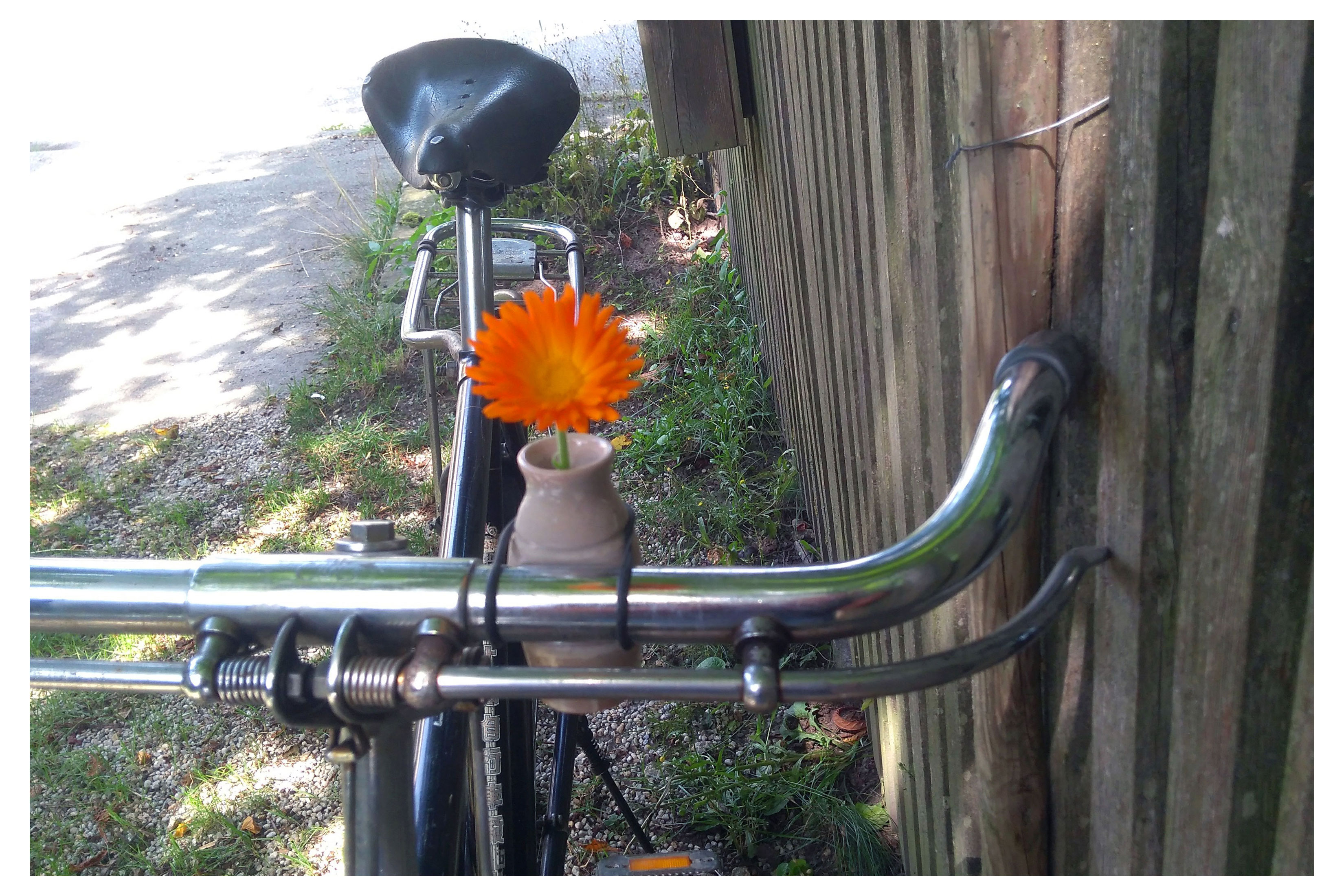 Radlmetzgerei Wenn S A Bissal Mehr Sei Derf