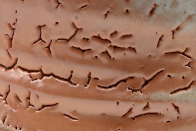 John Dix - Chawan - Detail - 9x14x13 cm John Dix - Chawan - Detail - 9x14x13 cm
